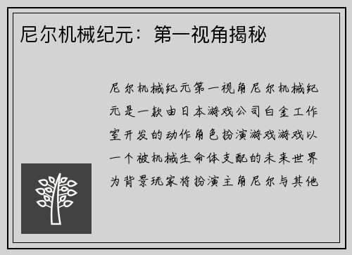 尼尔机械纪元：第一视角揭秘